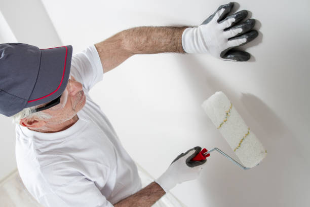 Best Drywall Crack Repair  in Dunedin, FL