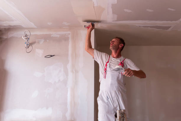 Best Repainting for Renovations  in Dunedin, FL