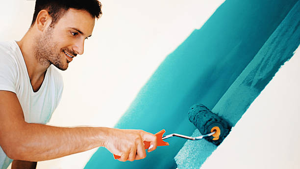 Best Fire-Damaged Drywall Repair  in Dunedin, FL